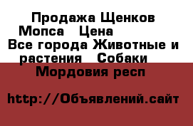 Продажа Щенков Мопса › Цена ­ 18 000 - Все города Животные и растения » Собаки   . Мордовия респ.
